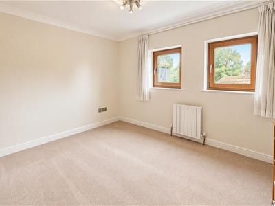 Picture 13